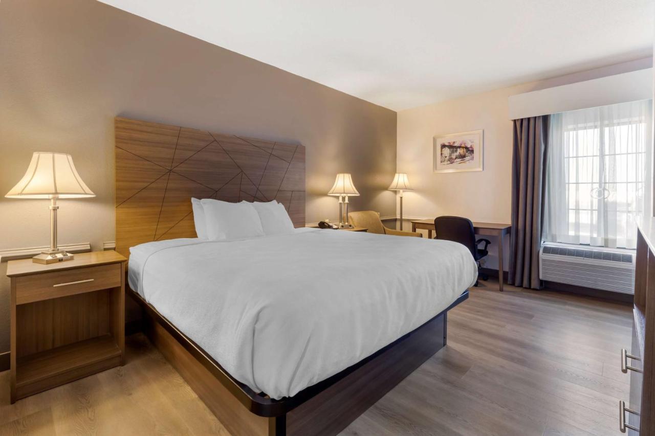 Best Western Plus South Hill Inn Kültér fotó